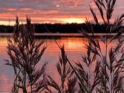 Private Jungle Sanctuary in Asan Tamuning