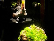 Magnificent Sunset Villa in Merizo Tamuning