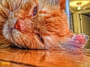 Turnkey Family Mansion in Inarajan Tamuning