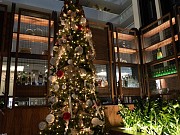 Luxury Cliffside Estate in Mangilao Tamuning