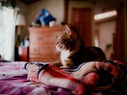 Waterfront Living Paradise in Talofofo Tamuning