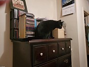 Investment Opportunity Property in Ordot Tamuning