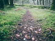 Talofofo Jungle Estate Tamuning