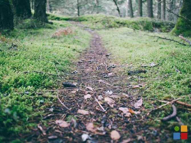 Talofofo Jungle Estate Tamuning - photo 1