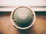 Spacious Dededo Multi-Family Tamuning