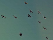 Spacious Dededo Multi-Family Tamuning