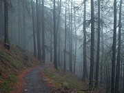 Asan Beachside Bungalow Tamuning