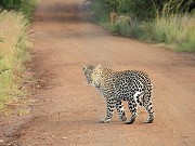 Asan Beachside Bungalow Tamuning