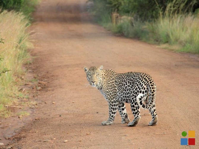 Asan Beachside Bungalow Tamuning - photo 1