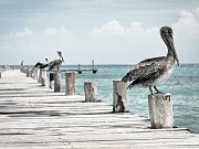 Mangilao Executive Estate Tamuning