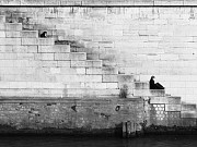 Maina Valley Retreat Tamuning