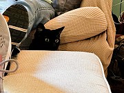 Cozy Island Retreat in Barrigada Tamuning