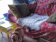 Premium Gated Community Home in Santa Rita Tamuning